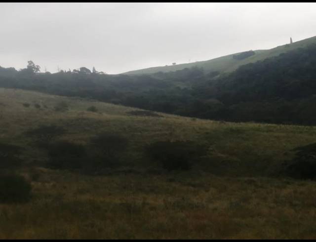 FARM FOR SALE IN STANGER RURAL